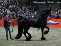 IMG_3873-Sipke-450