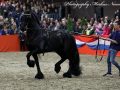 IMG_3918-Sipke-450