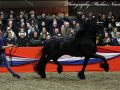 IMG_4015-Sipke-450