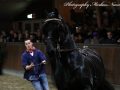 IMG_4032-Sipke-450