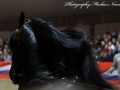 IMG_4046-Sipke-450