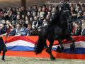 IMG_4056-Sipke-450