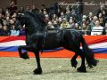 IMG_4130-Sipke-450