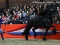 IMG_4156-Sipke-450