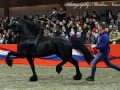 IMG_4251-Sipke-450