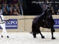 IMG_4887-Sipke-450