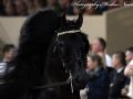 IMG_4892-Sipke-450