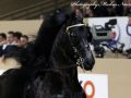 IMG_4896-Sipke-450