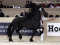 IMG_5266-Sipke-450