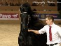 IMG_7624-Sipke-450