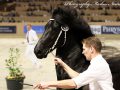 IMG_7625-Sipke-450