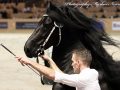 IMG_7660-Sipke-450