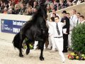 IMG_8791-Sipke-450