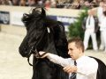 IMG_8797-Sipke-450