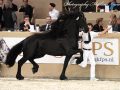 IMG_8831-Sipke-450
