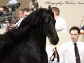 IMG_8859-Sipke-450