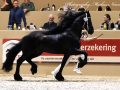 IMG_9537-Sipke-450