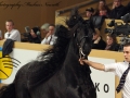 img_2068-sipke450