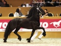 IMG_1966-Sjouke-453