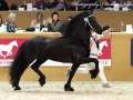 IMG_1999-Sjouke-453