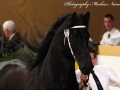 IMG_2007-Sjouke-453
