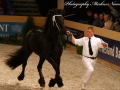 IMG_5132-Sjouke-453