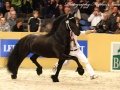 IMG_8212-Sjouke-453