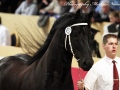 IMG_8236-Sjouke-453
