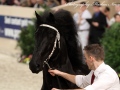 IMG_9002-Sjouke-453