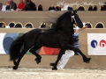 IMG_9006-Sjouke-453