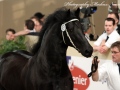 IMG_9043-Sjouke-453