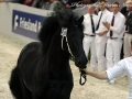 IMG_9192-Sjouke-453