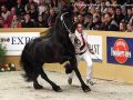 IMG_1034-Stendert-447
