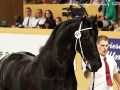 IMG_1056-Stendert-447