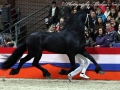 IMG_5650-Stendert-447