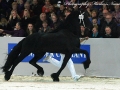 IMG_9384-Stendert-447