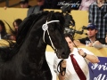 IMG_1884-Take-455