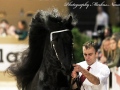 IMG_8638-Take-455