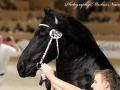 IMG_8666-Take-455