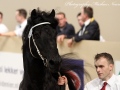 IMG_9131-Take-455