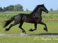 crw_0120-tetse394-ml
