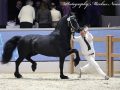 IMG_0699-Teun-505