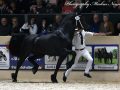 IMG_7557-Teun-505