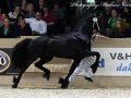 IMG_7569-Teun-505