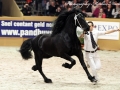 IMG_2579-Thorben466