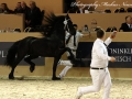 IMG_7910-Thorben466