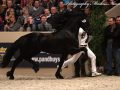 IMG_9161-Thorben-466