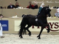 IMG_9524-Tietse-428