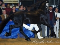 IMG_3074-Time-398