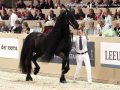 IMG_0832-Tjaarda-483